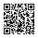 QR code linking to https://www.n3s0.tech/travel/usa/