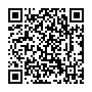 QR code linking to https://www.n3s0.tech/tags/padlock/
